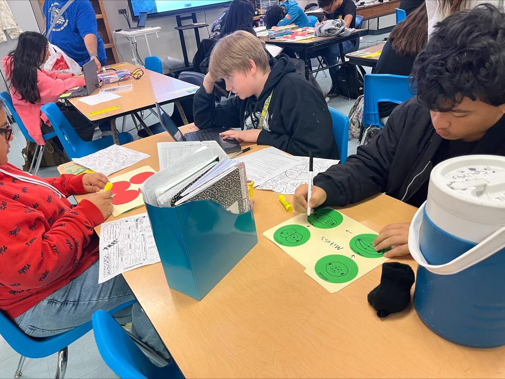 Students working through an activity