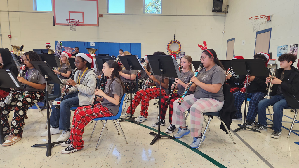 SC Lee band plays instruments in Halstead gym