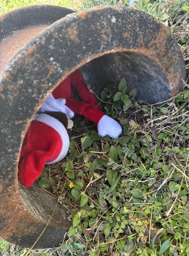 Dash and Sparkle, Crossroads Christmas Elves