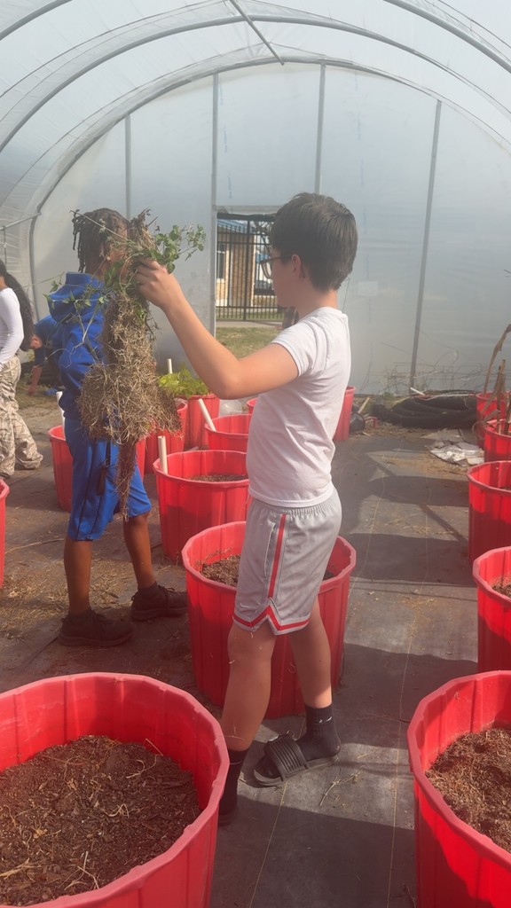 Greenhouse work with Farm to Table- details in the post
