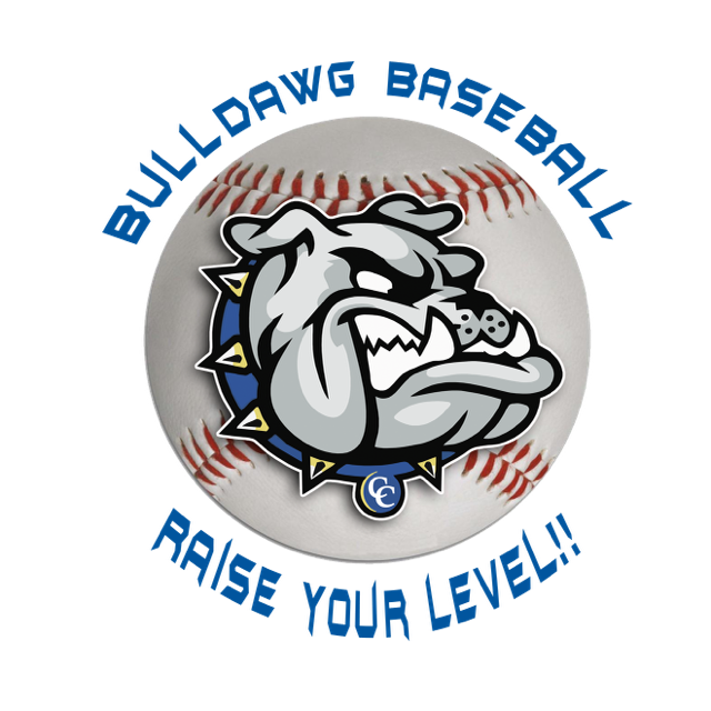bulldawg baseball raise your level