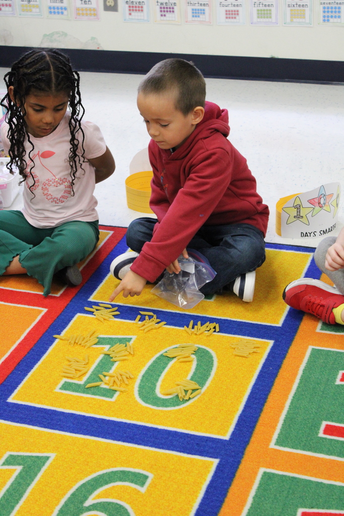 Students counting their 100 items