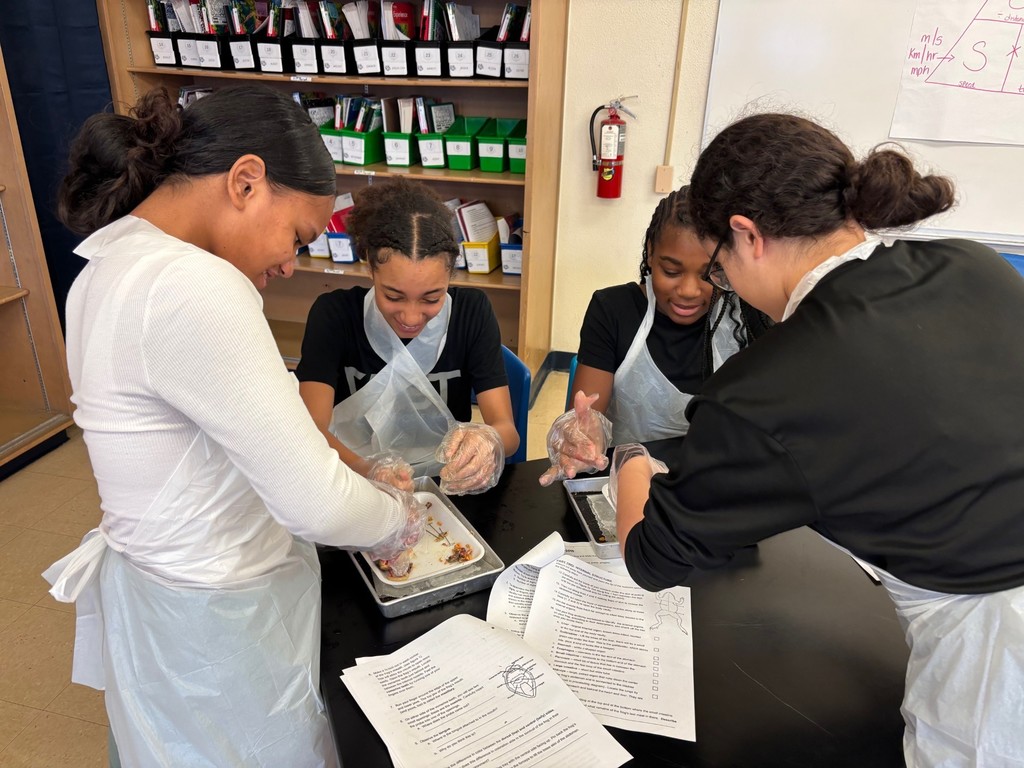 7th Grade Frogs- details in the post