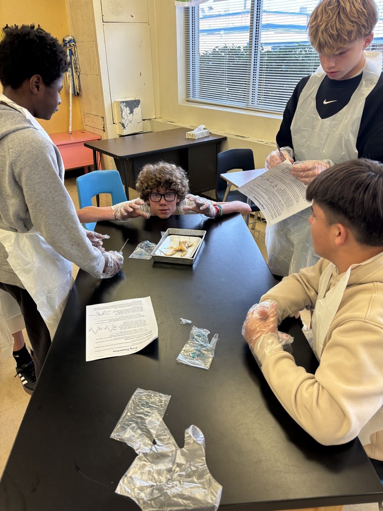 7th Grade Frogs- details in the post