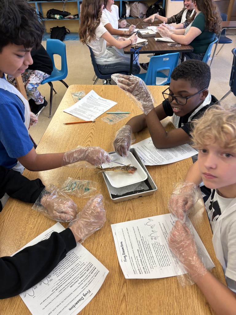 7th Grade Frogs- details in the post