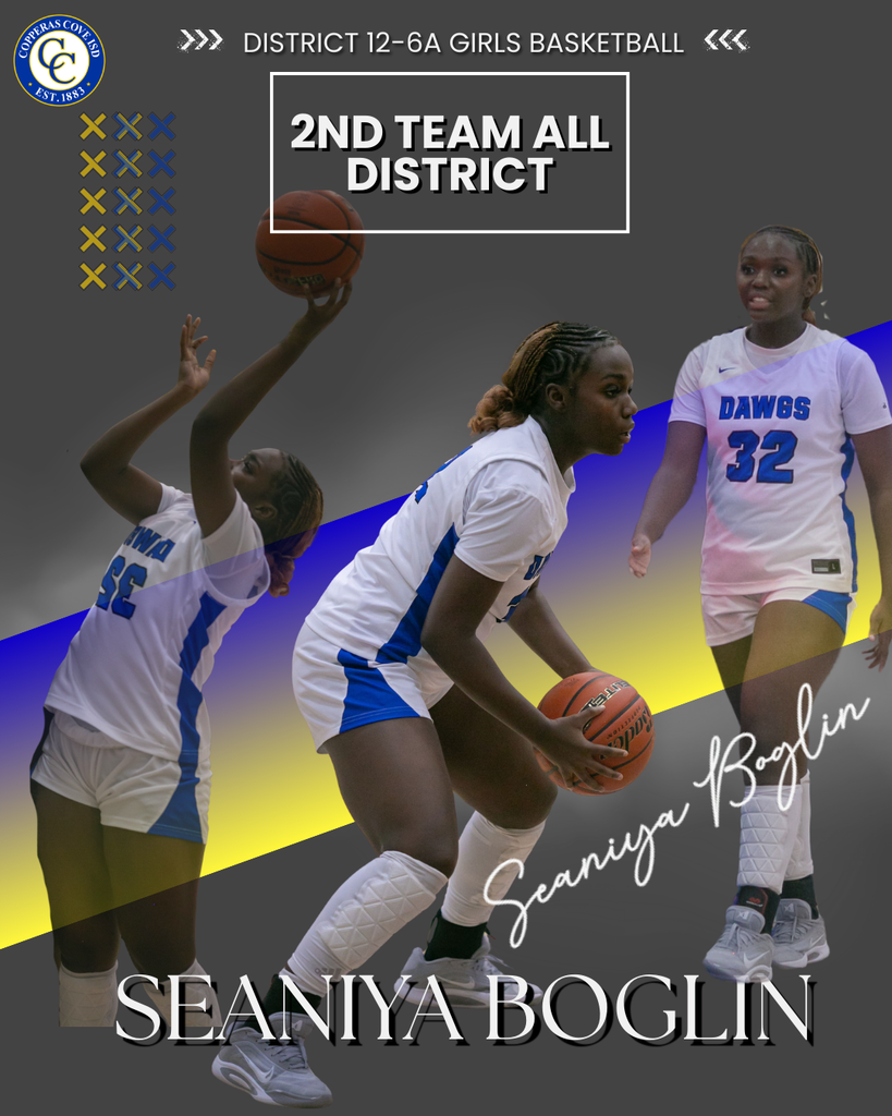 2nd team all district seaniya boglin