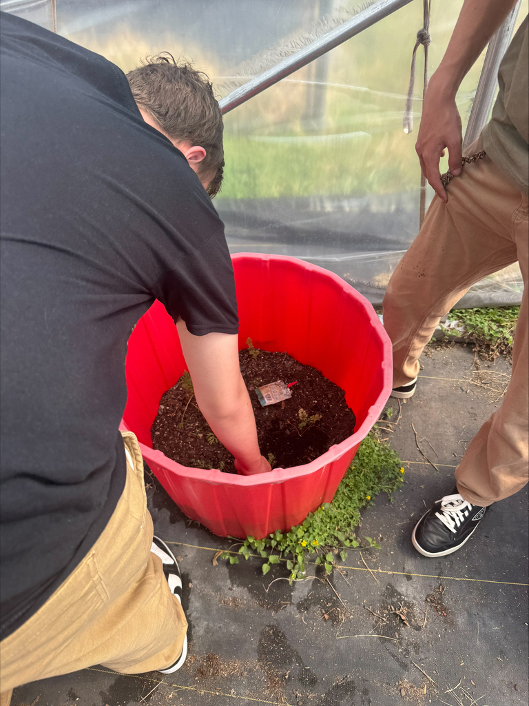 Crossroads Garden Club harvest pictures.