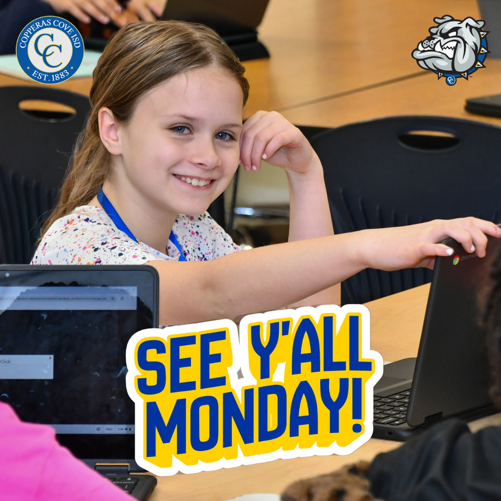 Graphic with CCISD logo, Bulldawg logo. Photo of smiling student working on a computer