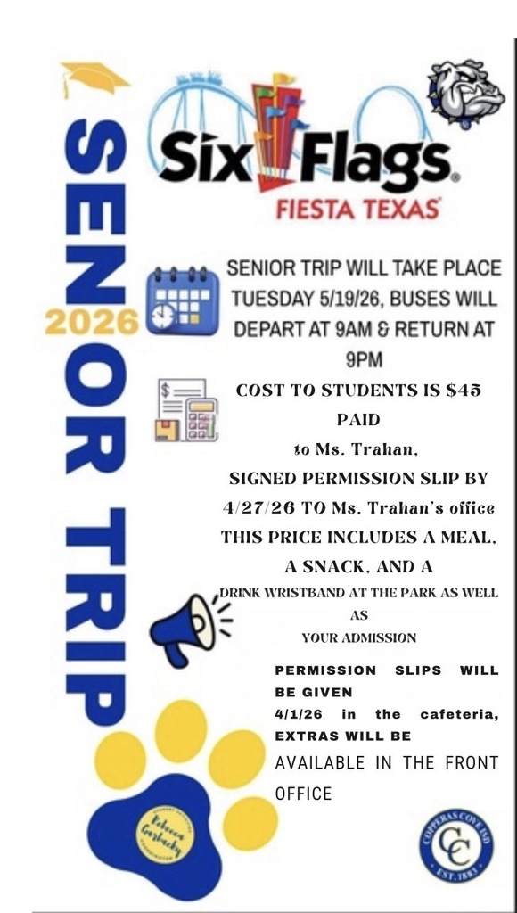 Senior trip flyer with logo