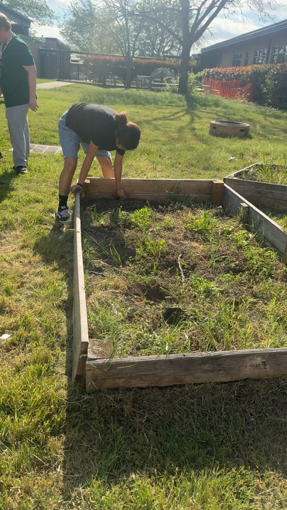 garden clean up- details in the post