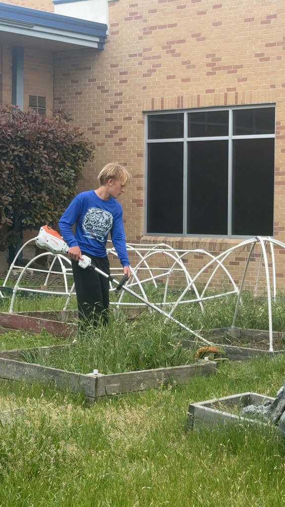 garden clean up- details in the post