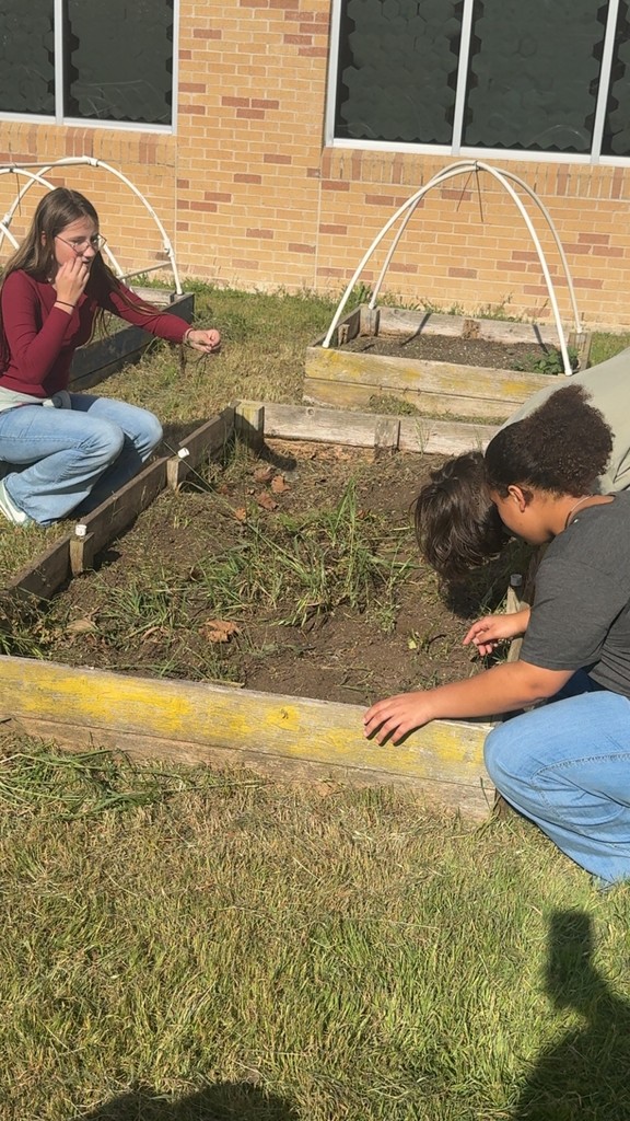 garden clean up- details in the post