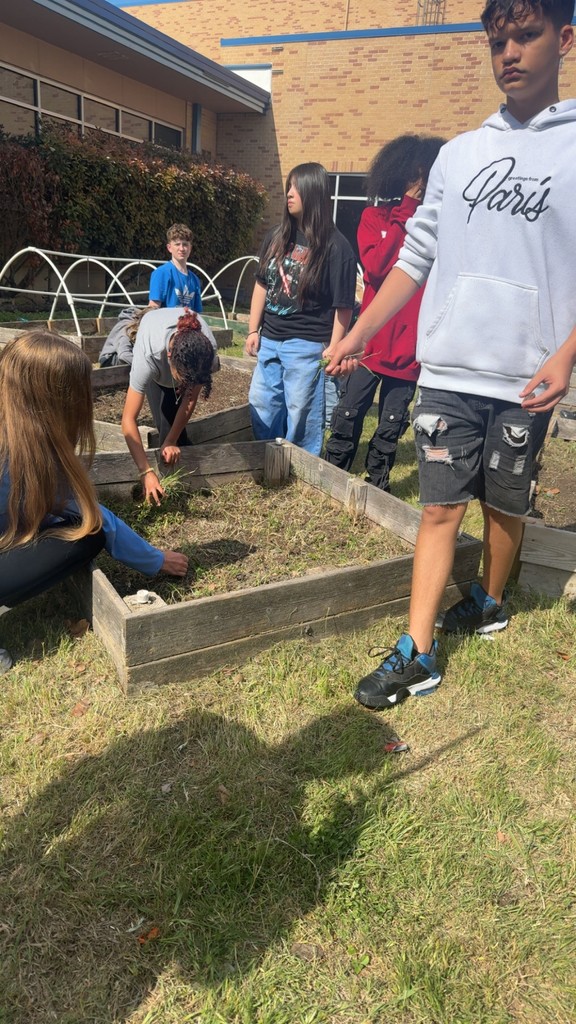 garden clean up- details in the post