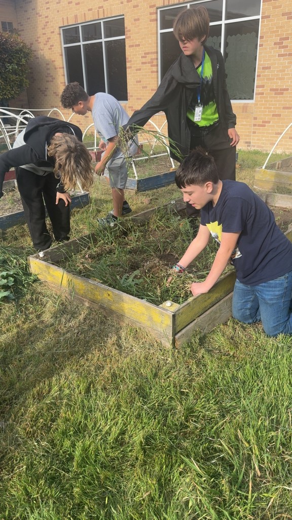 garden clean up- details in the post