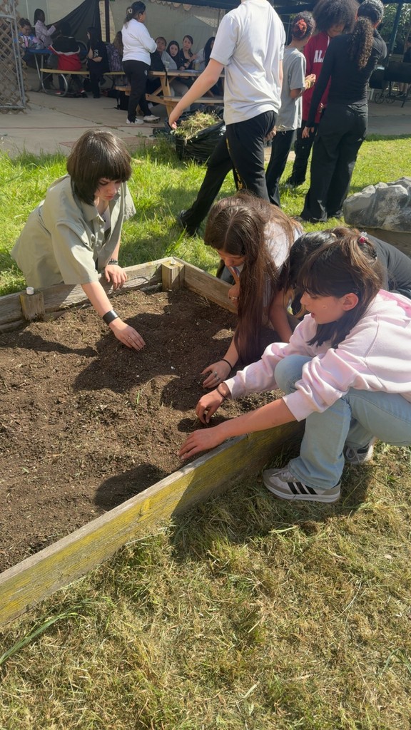 garden clean up- details in the post