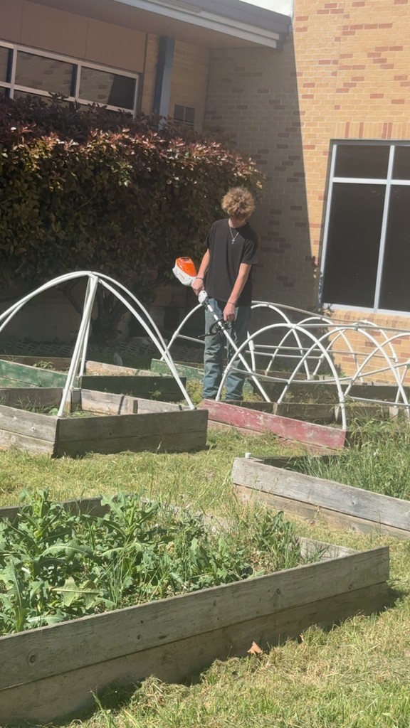 garden clean up- details in the post