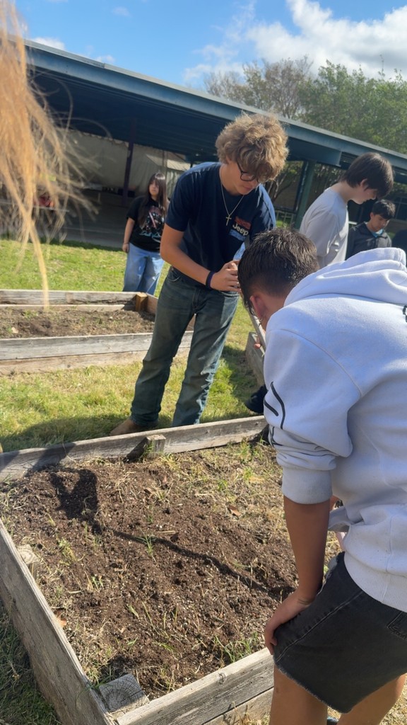 garden clean up- details in the post