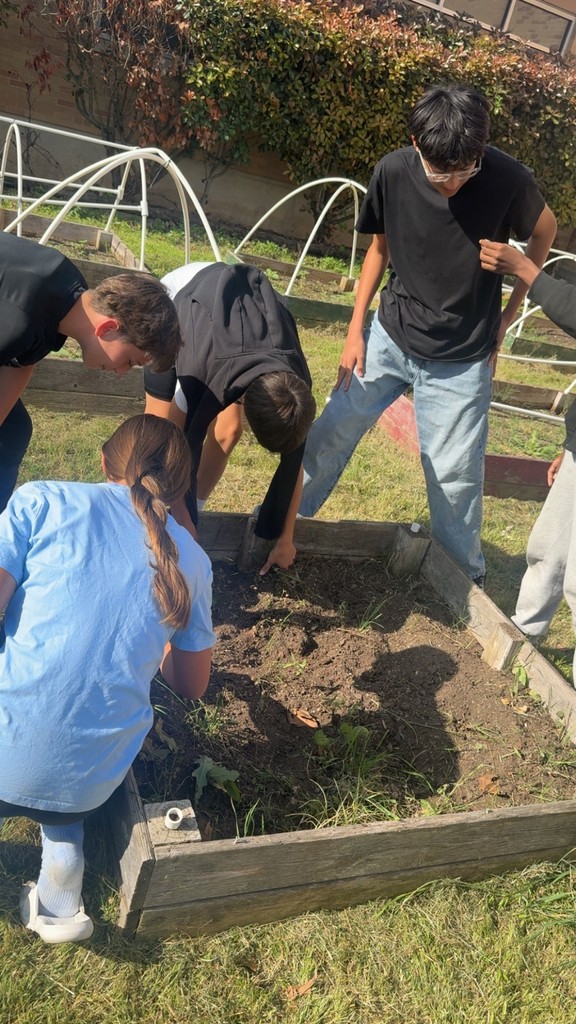 garden clean up- details in the post