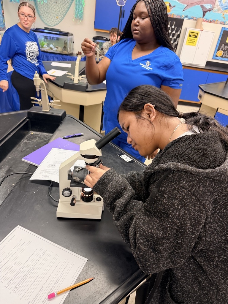 Copperas Cove High School students doing lab work in Enviromental Systems class.