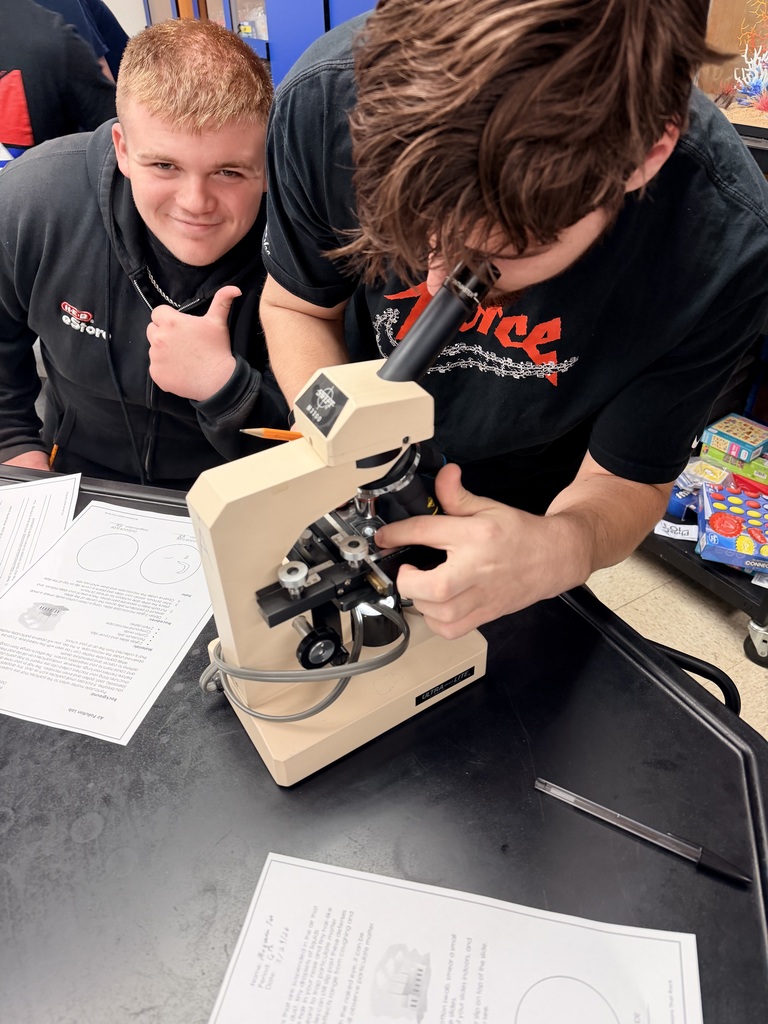 Copperas Cove High School students doing lab work in Enviromental Systems class.