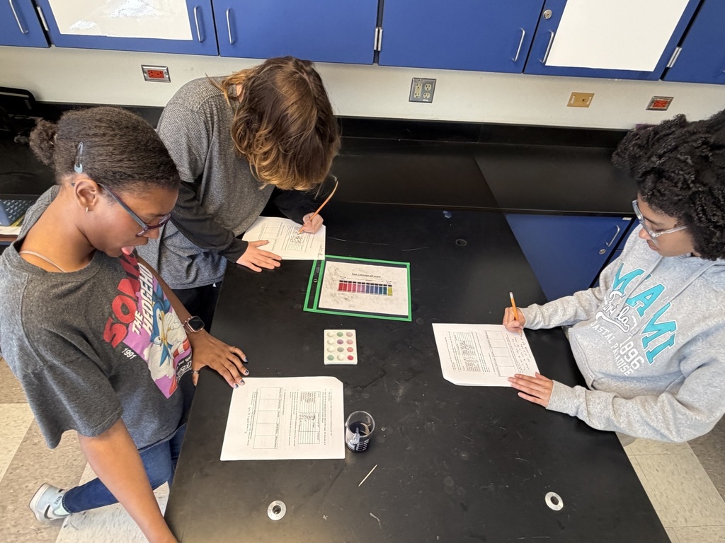 Chemistry students performing an experiment.
