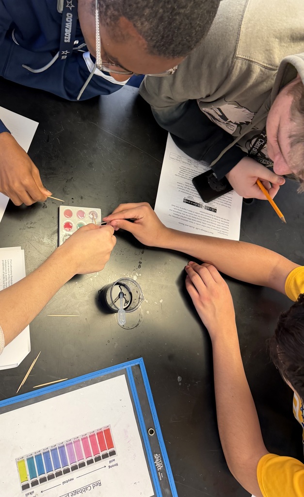 Chemistry students performing an experiment.