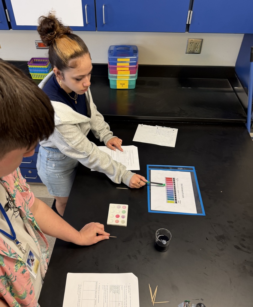 Chemistry students performing an experiment.