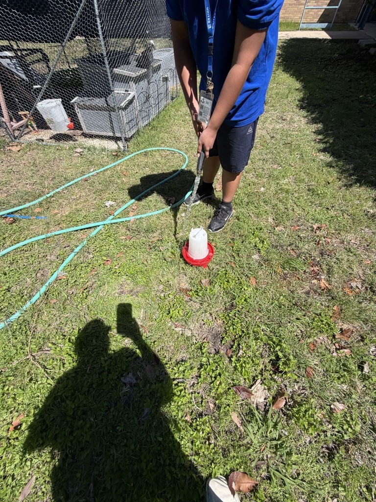 cleaning the coop- details in the post