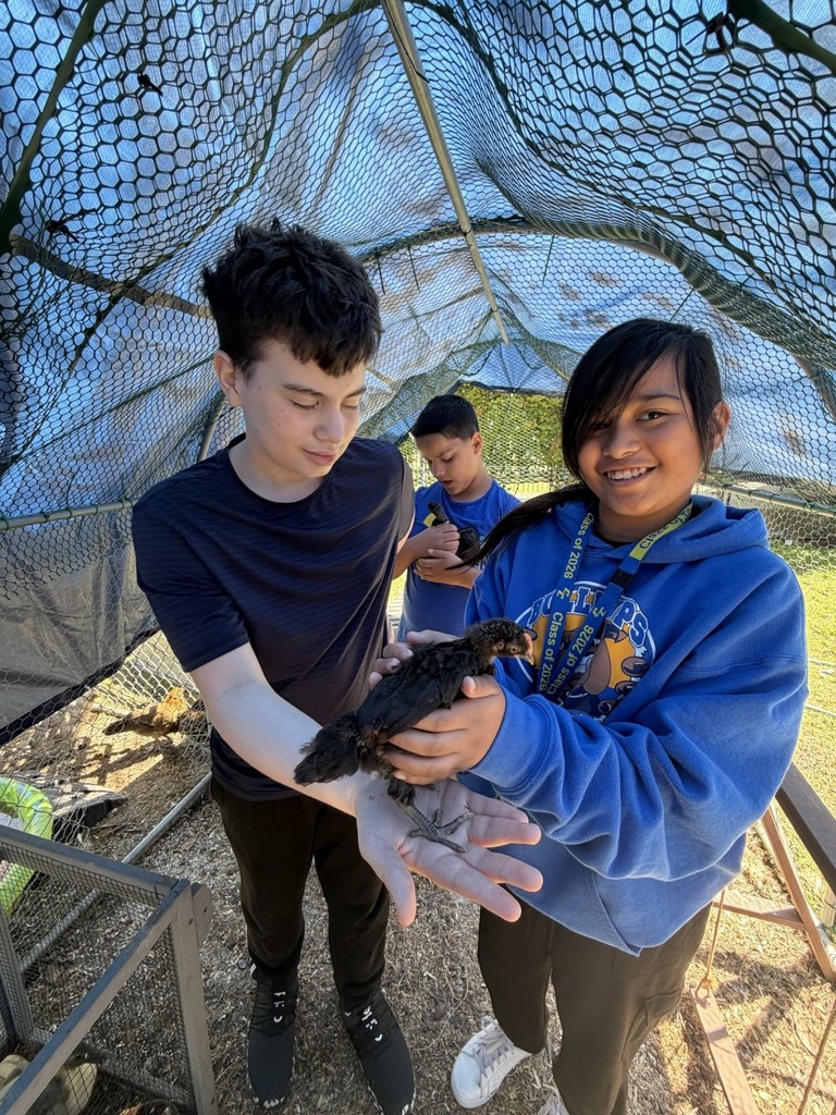 cleaning the coop- details in the post