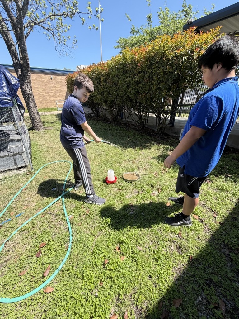 cleaning the coop- details in the post