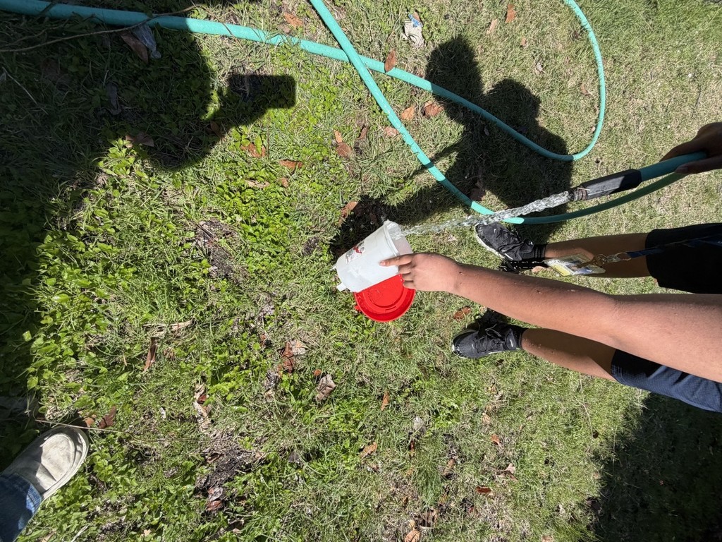 cleaning the coop- details in the post