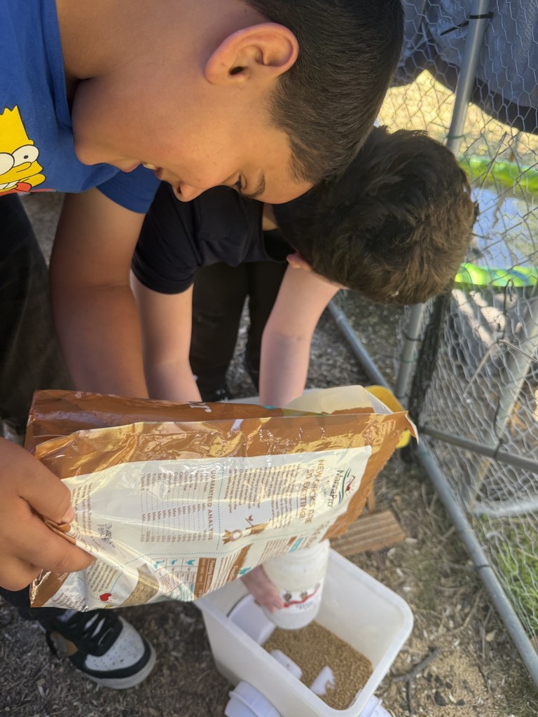 cleaning the coop- details in the post