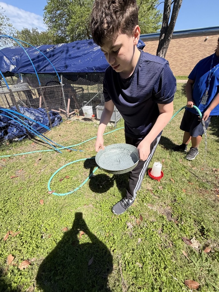 cleaning the coop- details in the post