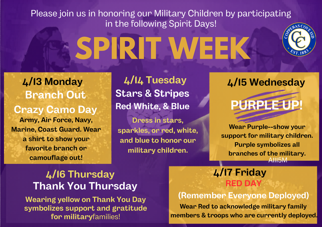 spirit dress up days flyer with logos