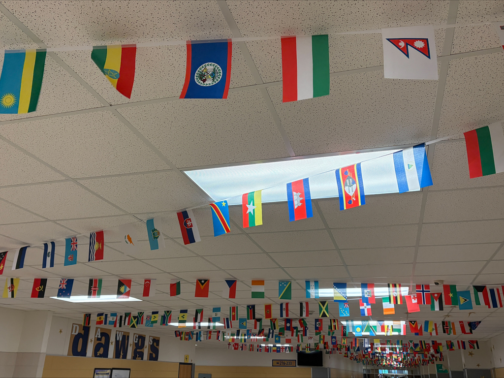 A picture of the Copperas Cove High School hallway decorated with flags from around the world.