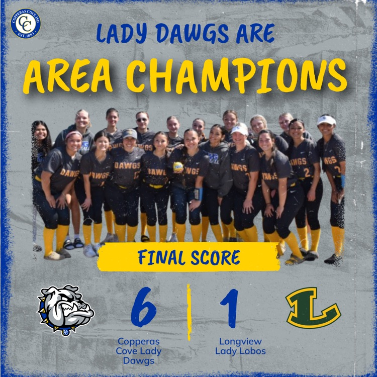 lady dawgs are area champs copperas covelady dawgs 6 Longview lady lobos 1