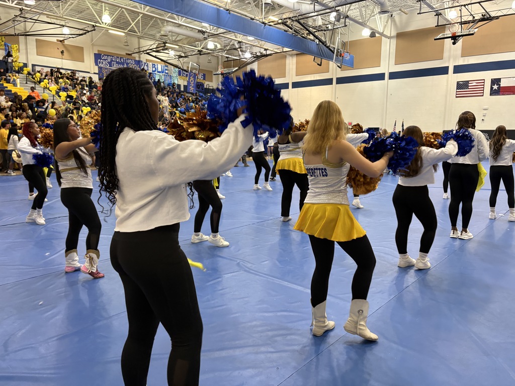 Cheerleaders at the Pep Rally