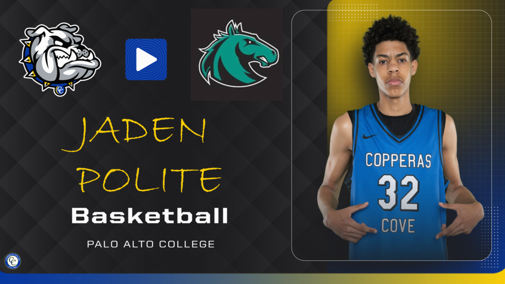 jaden polite basketball palo alto college