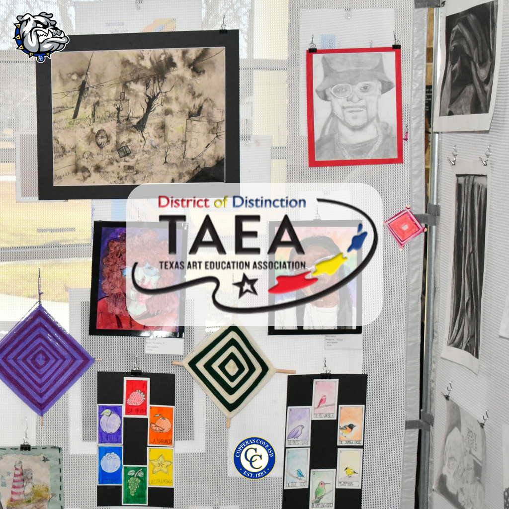 Graphic with CCISD logo, Bulldawg logo. Texas Art Education Association District of Distinction badge centered over photo of visual art display