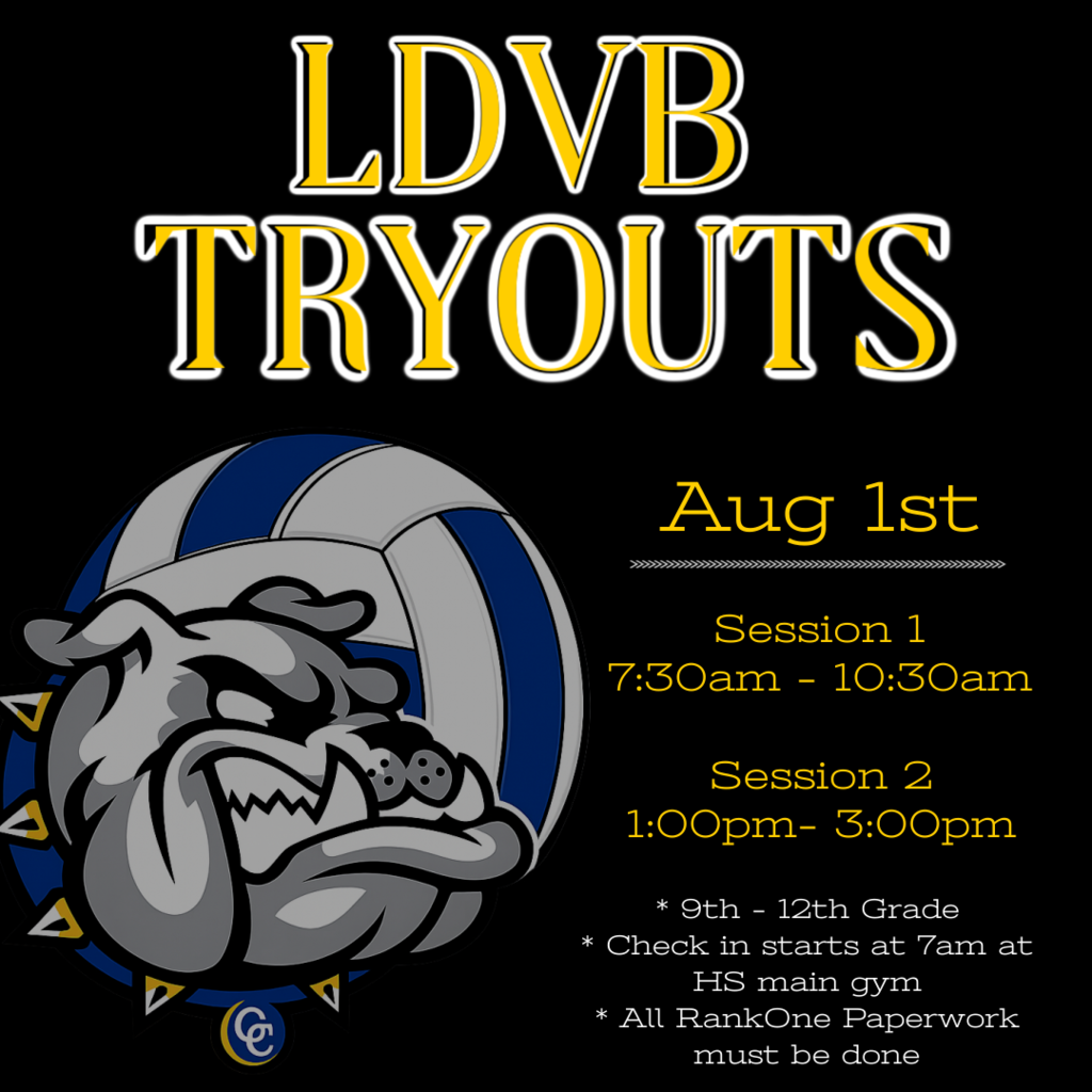 ldvb tryouts aug 1 session 1 730-1030 session 2 1-3 9th - 12th grade check in starts at 7am at hs main gym all rankone paperwork must be done