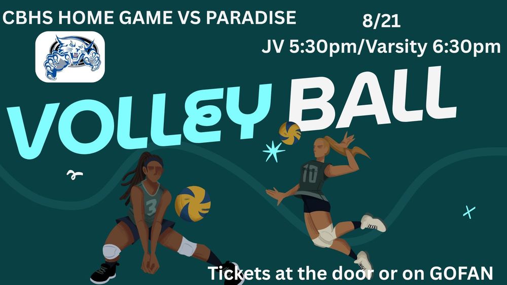 Home Volleyball Game