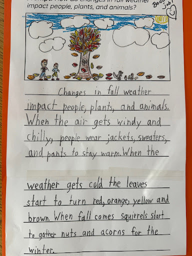 Author of the Week 2