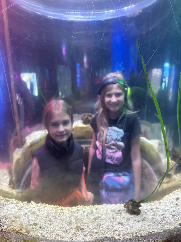 Grade 3 aquarium 2