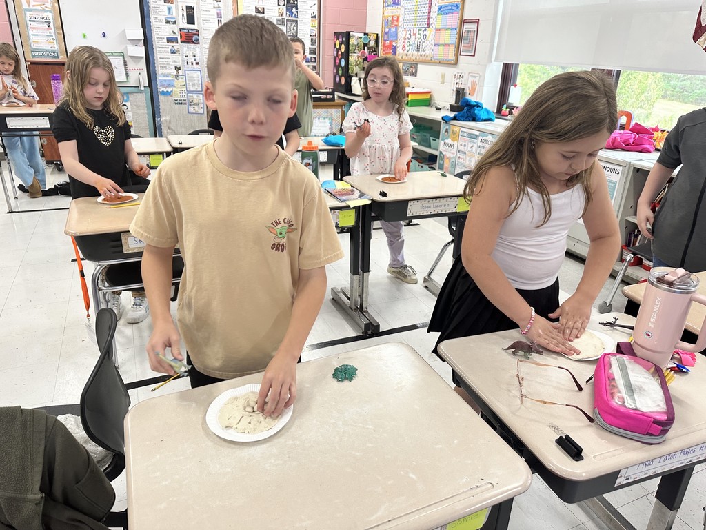 Stream students making trace fossils