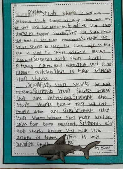 Meet the Author Abel