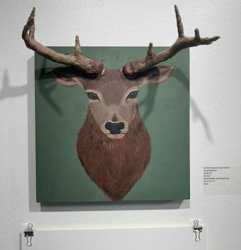 Acadia Baldwin Artwork