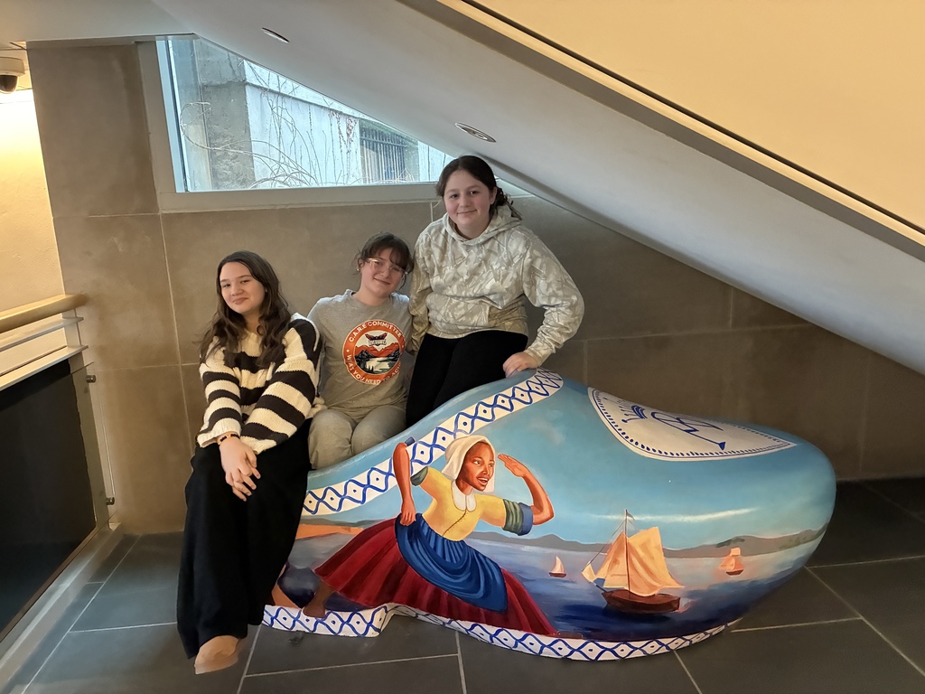 Albany Institute of History and Art grade 6 - 4