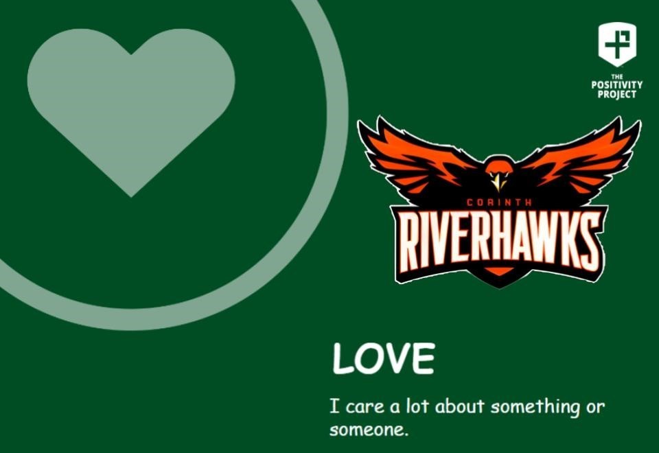 Positivity Project LOVE