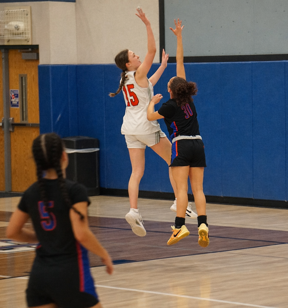Girls Varsity BB sectional quarterfinal