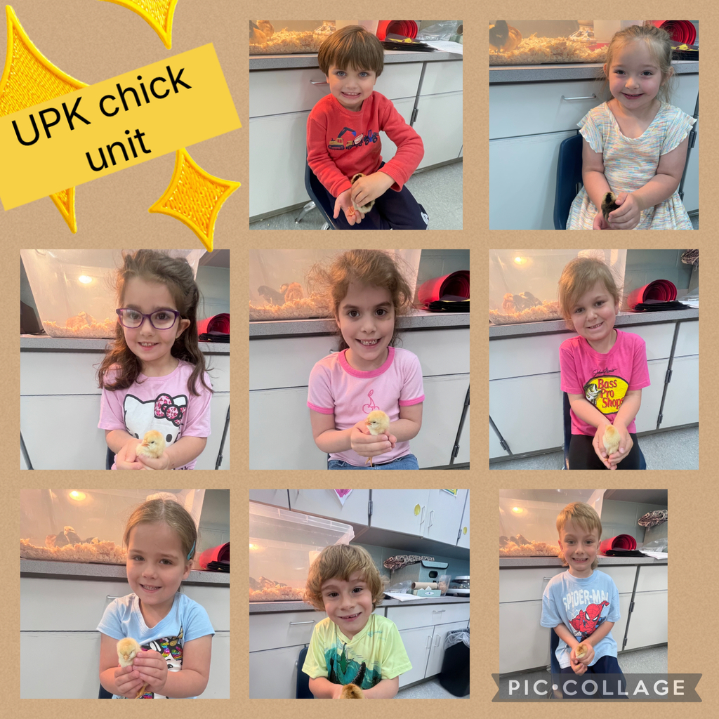 UPK Chicks 